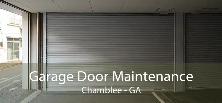 Garage Door Maintenance Chamblee - GA