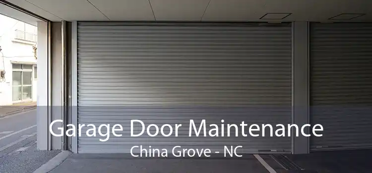 Garage Door Maintenance China Grove - NC