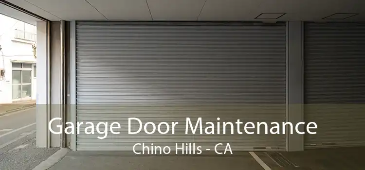 Garage Door Maintenance Chino Hills - CA