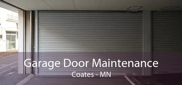 Garage Door Maintenance Coates - MN