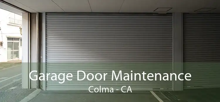 Garage Door Maintenance Colma - CA