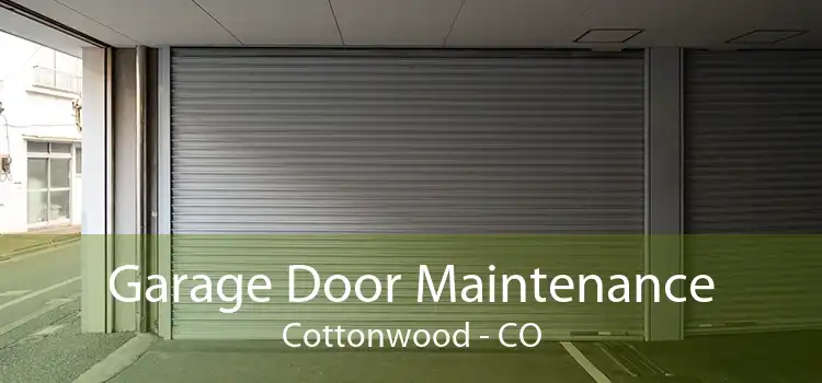 Garage Door Maintenance Cottonwood - CO