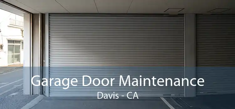 Garage Door Maintenance Davis - CA