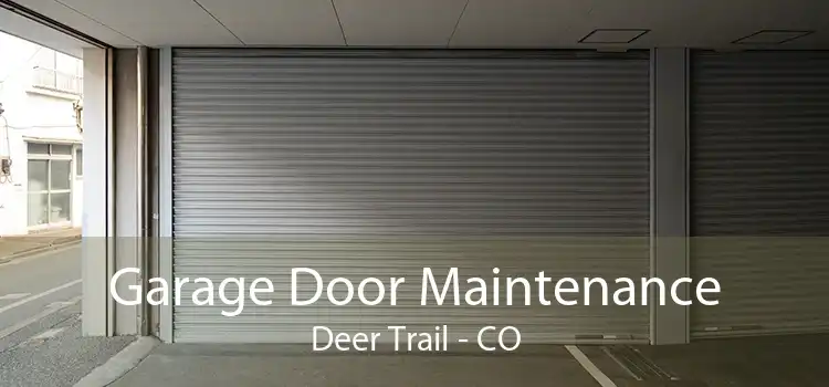 Garage Door Maintenance Deer Trail - CO