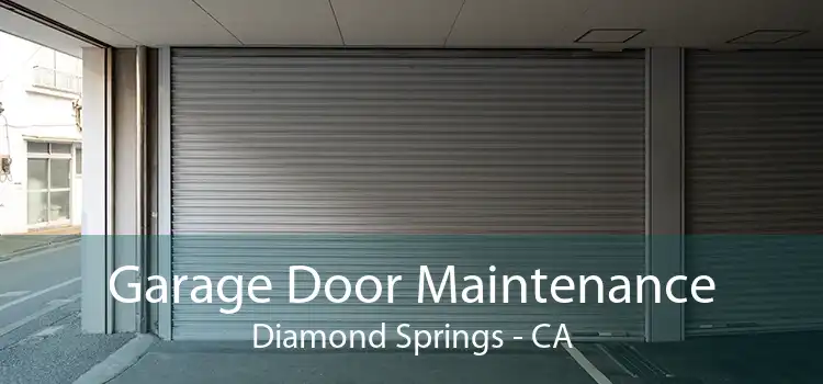 Garage Door Maintenance Diamond Springs - CA