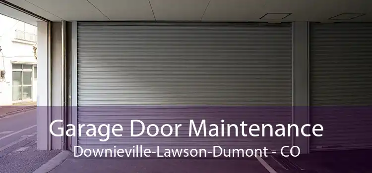 Garage Door Maintenance Downieville-Lawson-Dumont - CO