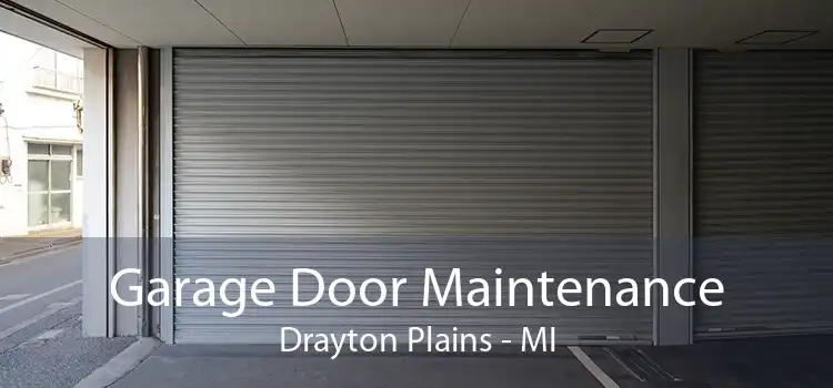 Garage Door Maintenance Drayton Plains - MI