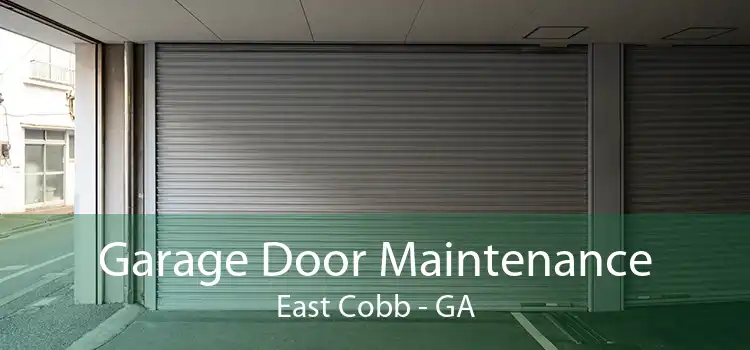 Garage Door Maintenance East Cobb - GA