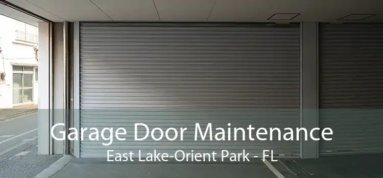 Garage Door Maintenance East Lake-Orient Park - FL