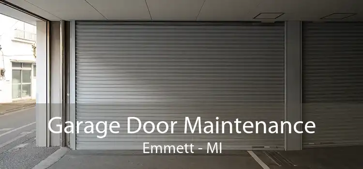 Garage Door Maintenance Emmett - MI
