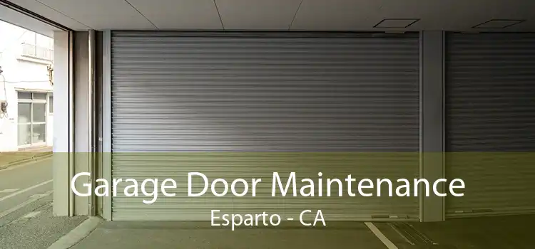 Garage Door Maintenance Esparto - CA