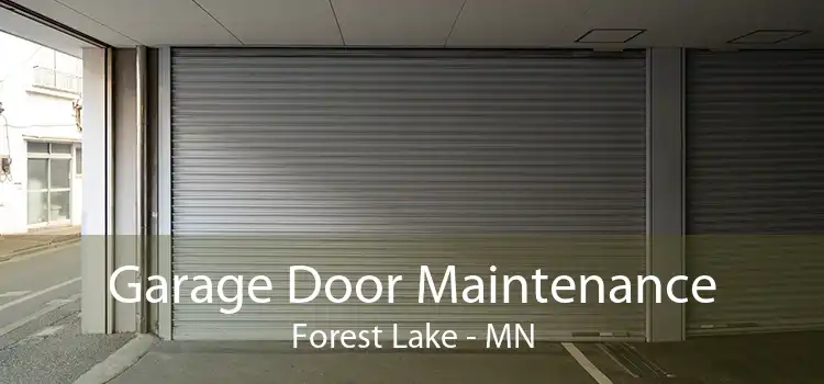 Garage Door Maintenance Forest Lake - MN