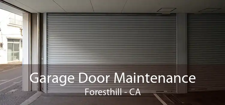 Garage Door Maintenance Foresthill - CA