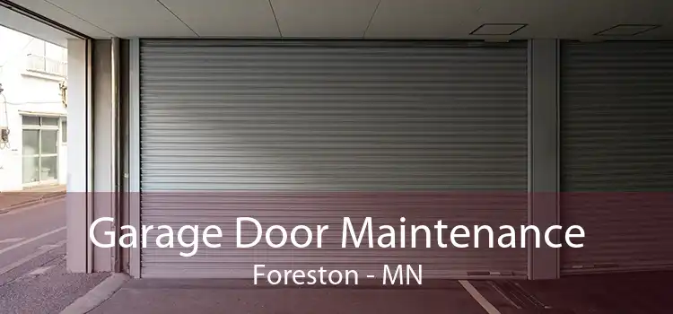 Garage Door Maintenance Foreston - MN
