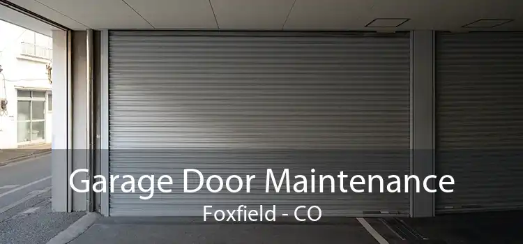 Garage Door Maintenance Foxfield - CO