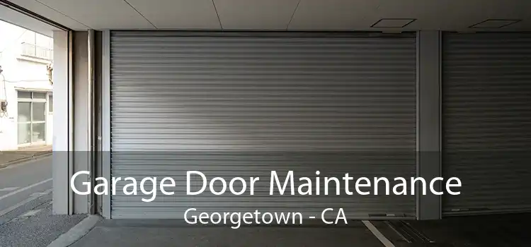 Garage Door Maintenance Georgetown - CA