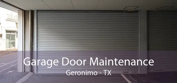 Garage Door Maintenance Geronimo - TX
