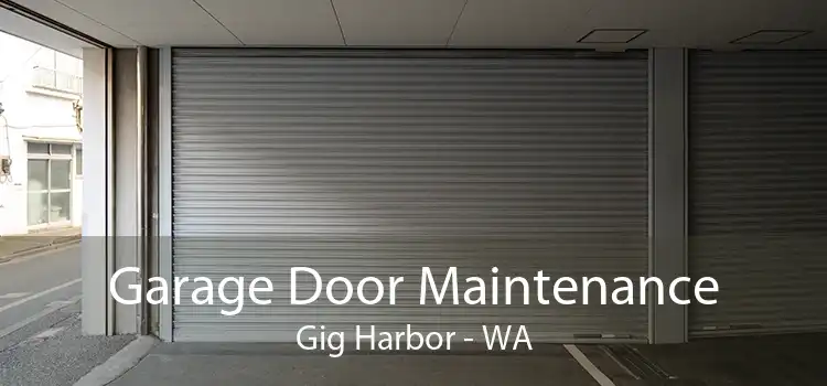 Garage Door Maintenance Gig Harbor - WA