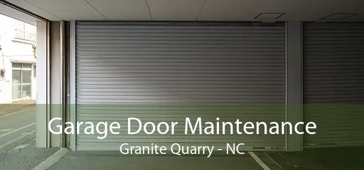 Garage Door Maintenance Granite Quarry - NC