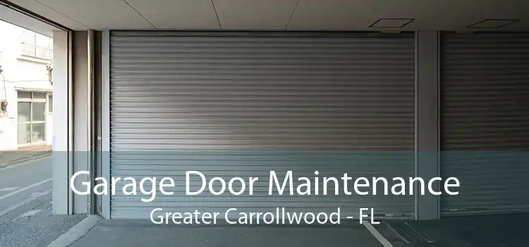 Garage Door Maintenance Greater Carrollwood - FL