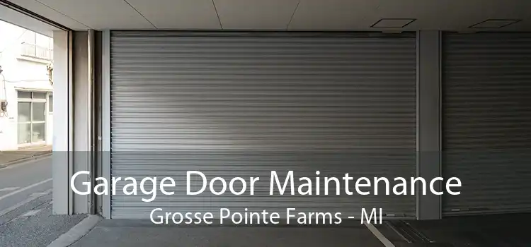 Garage Door Maintenance Grosse Pointe Farms - MI