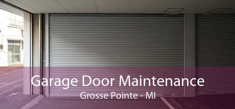 Garage Door Maintenance Grosse Pointe - MI