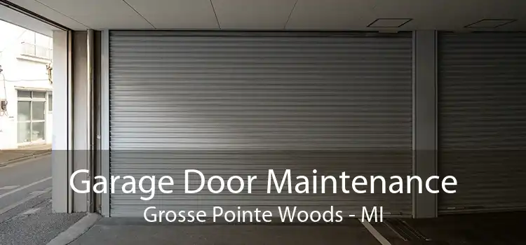 Garage Door Maintenance Grosse Pointe Woods - MI