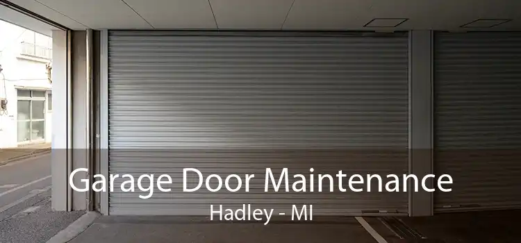 Garage Door Maintenance Hadley - MI