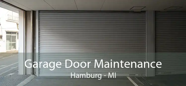 Garage Door Maintenance Hamburg - MI