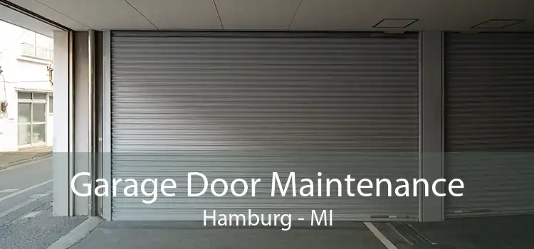  Garage Door Maintenance Hamburg - MI