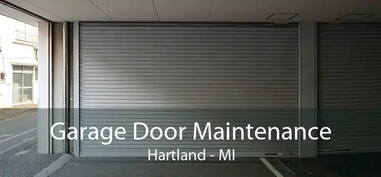  Garage Door Maintenance Hartland - MI