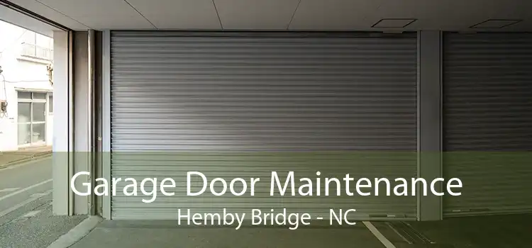 Garage Door Maintenance Hemby Bridge - NC