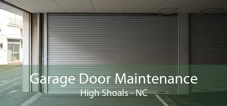 Garage Door Maintenance High Shoals - NC