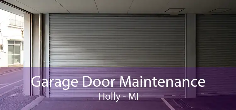 Garage Door Maintenance Holly - MI