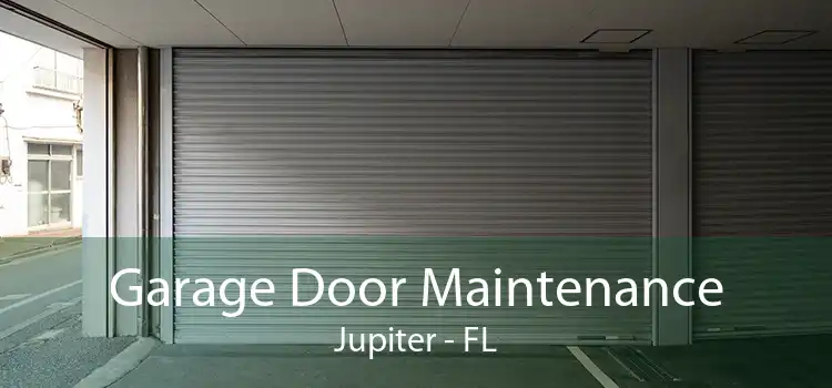 Garage Door Maintenance Jupiter - FL
