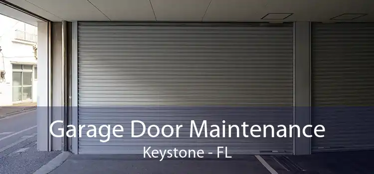 Garage Door Maintenance Keystone - FL