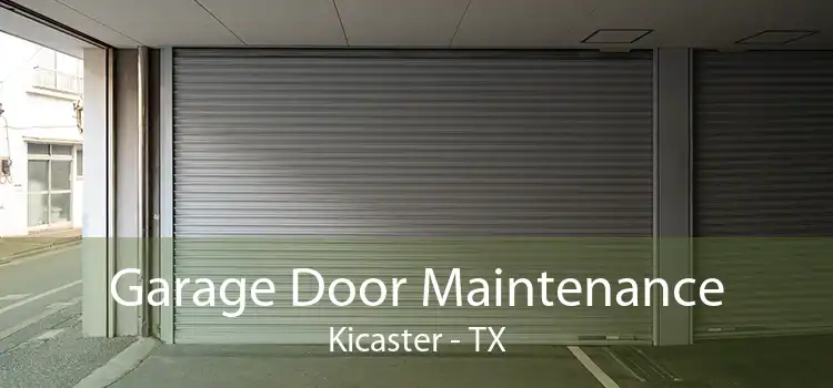 Garage Door Maintenance Kicaster - TX