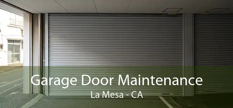 Garage Door Maintenance La Mesa - CA