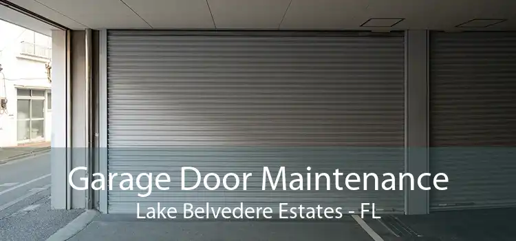 Garage Door Maintenance Lake Belvedere Estates - FL