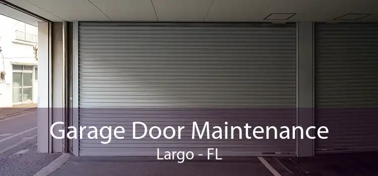Garage Door Maintenance Largo - FL