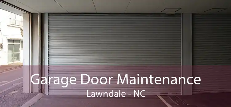 Garage Door Maintenance Lawndale - NC
