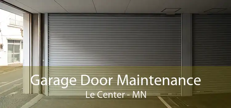 Garage Door Maintenance Le Center - MN
