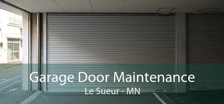 Garage Door Maintenance Le Sueur - MN