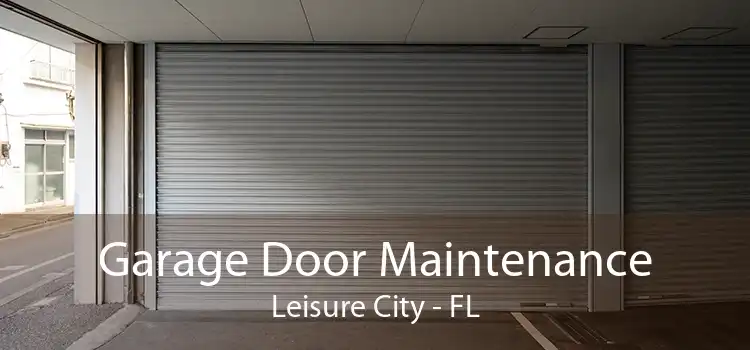 Garage Door Maintenance Leisure City - FL