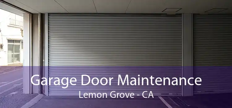  Garage Door Maintenance Lemon Grove - CA