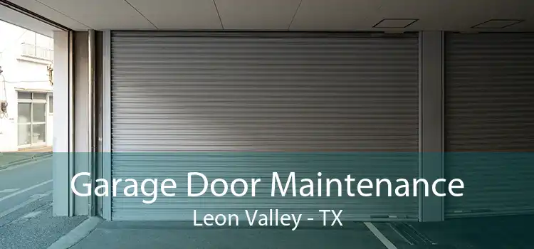 Garage Door Maintenance Leon Valley - TX