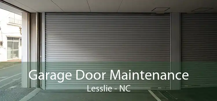 Garage Door Maintenance Lesslie - NC