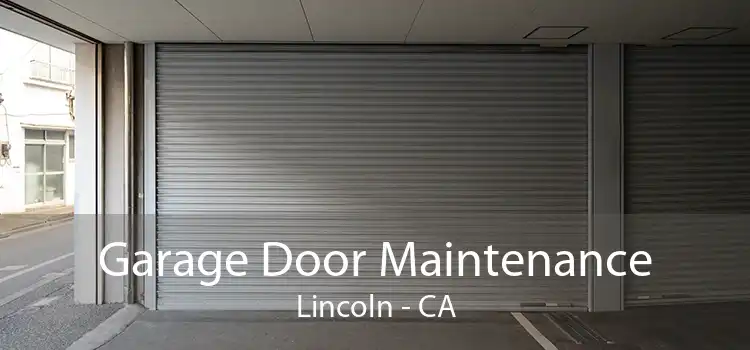 Garage Door Maintenance Lincoln - CA