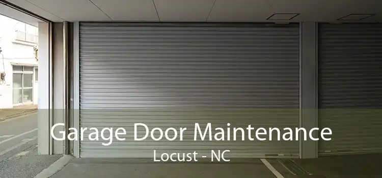 Garage Door Maintenance Locust - NC