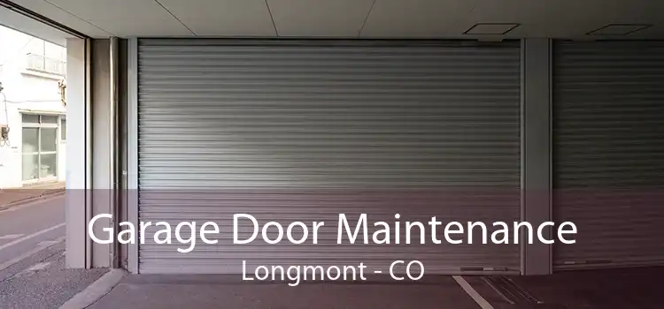 Garage Door Maintenance Longmont - CO